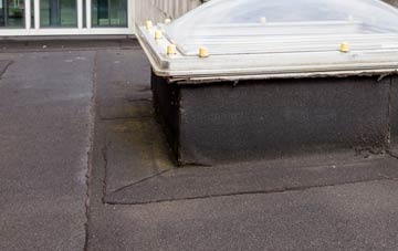 disadvantages of Phantassie flat roofs